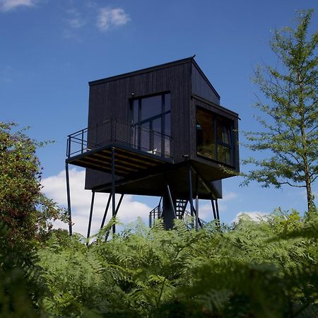 Treeangle - K1 Baumhaus Villa Odenthal Kültér fotó