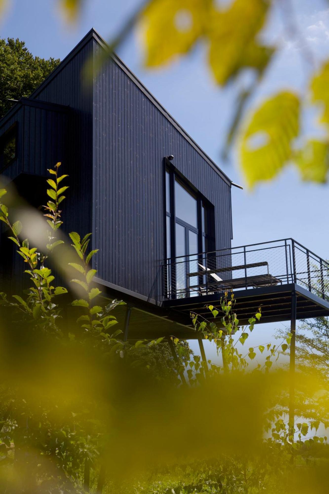 Treeangle - K1 Baumhaus Villa Odenthal Kültér fotó